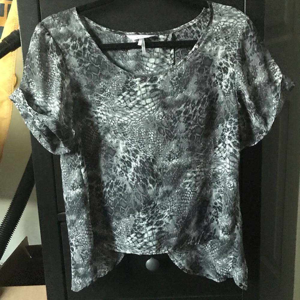 Sheer Openback Blouse